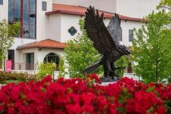 Red hawk statue